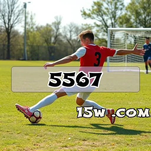 5567.com plataforma VIP